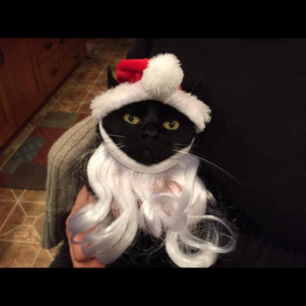 Meet your Posher, Teresa